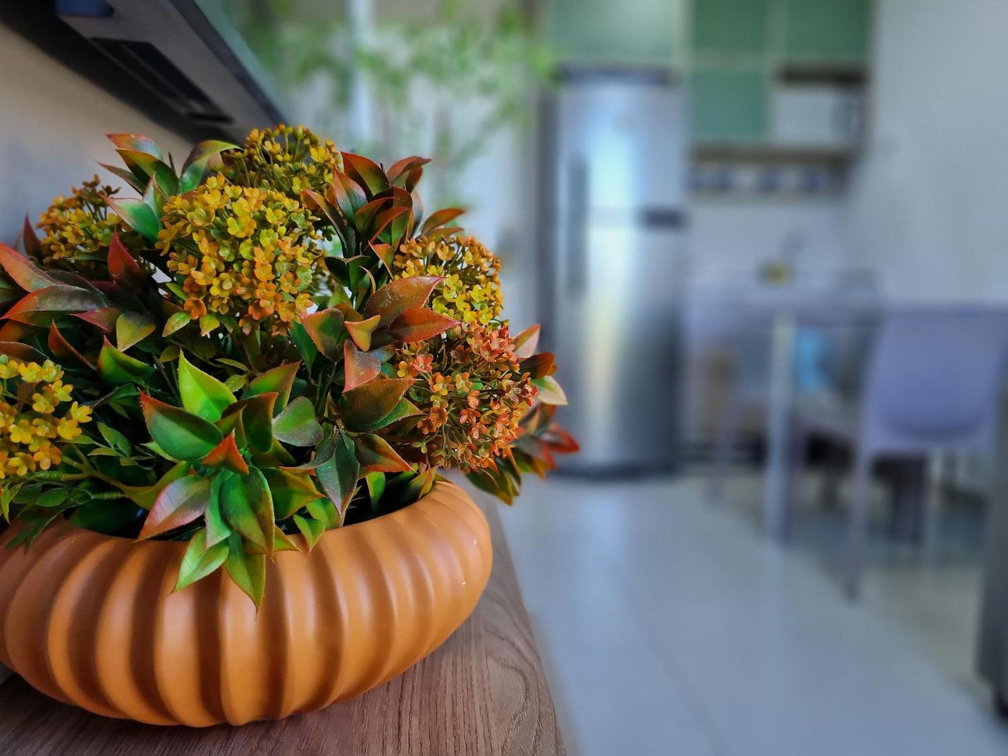 Flat No Centro De -sunny Hall115 - By Anfitriao Holiday home *